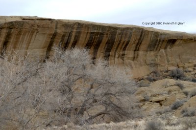 Rock varnish at Chaco Canyon National Historic Park