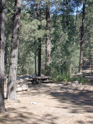 Campsite 27
