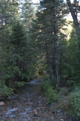 Columbine Creek in the Columbine Canyon campground

