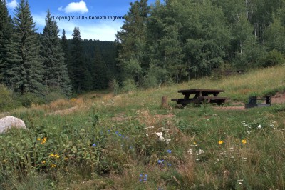 Tent campsite and wildflowers
