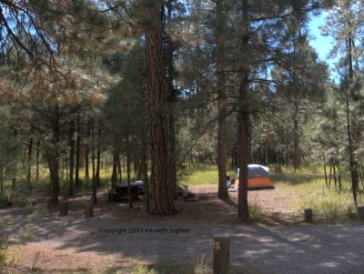 A tent in site 25
