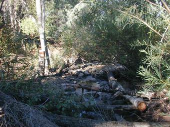 The stream beside the campground
