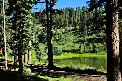 View of a lake from one of the campsites.
