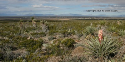 view west from campground
