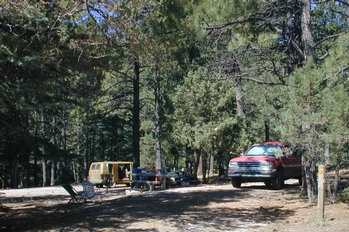 Campsite
