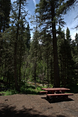 campsite and the stream
