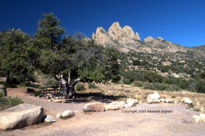 campsite with Organ mountains in background
