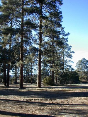 Another view of the campground
