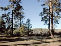 Campground view
