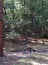 A campsite in the Iron Creek campground
