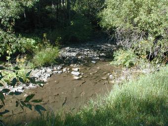 The stream running through the campground
