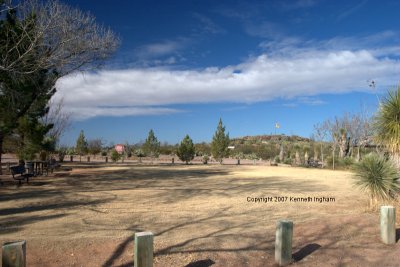 grassy, smooth tent area
