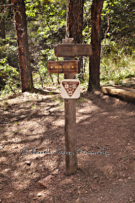 Trail sign
