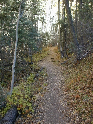 View of the trail
