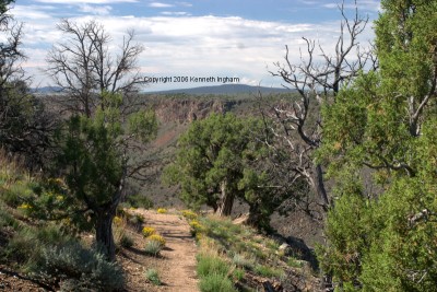 trail, view into gorge
