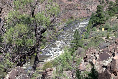 Rio Grande and one of the BLM Wild Rivers campgrounds
