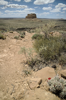 Fajada Butte from the Chaco Canyon overlook trail
