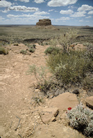 Fajada Butte from the Chaco Canyon overlook trail
