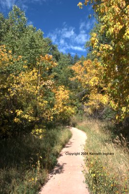 The concrete trail
