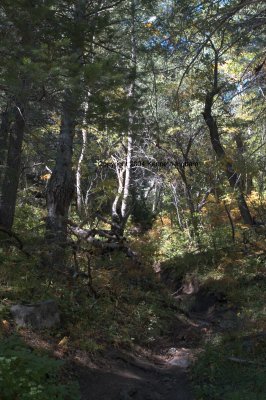 Narrow (and eroded) trail
