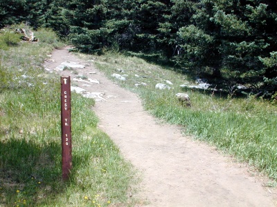 Crest trail 130
