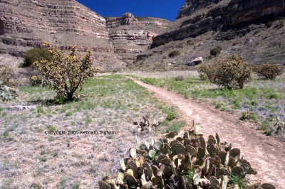 level trail on the second bench 
