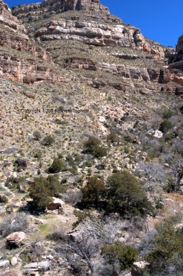 remains of a cabin near a stream
