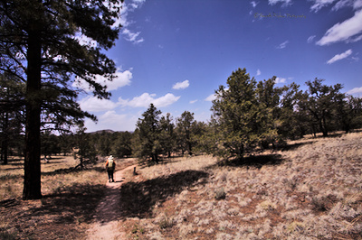 Diana kiking on the trail near a ponderosa pine

