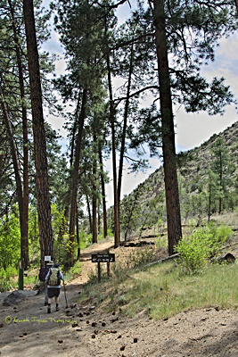 Falls trail trailhead
