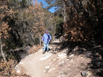 Diana Northup on the trail
