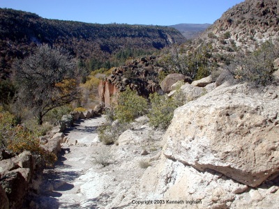 View up Frijoles canyon from the Frey trail
