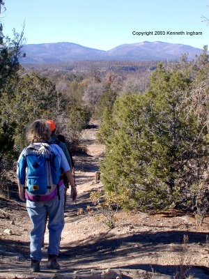 The trail heading west, with a view of the Jemez Mountains
