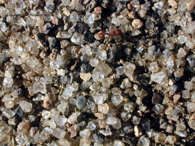 Crystals in an ant mound
