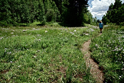 Diana in a field of wildflowers along the trail
