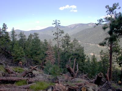 View ESE from the picnic tables
