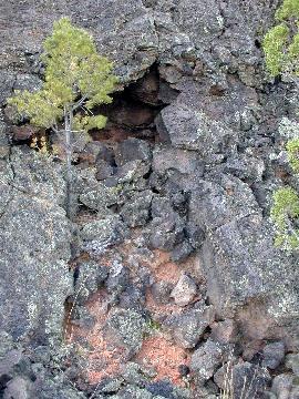 A pi&ntilde;on next to a place where orange rock is coming out of the lava
