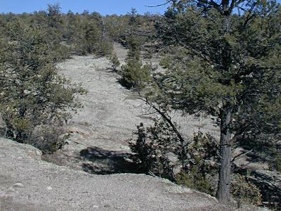 The rock meadow
