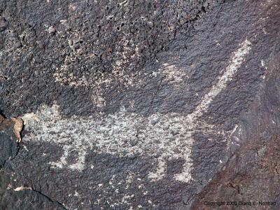 Petroglyph
