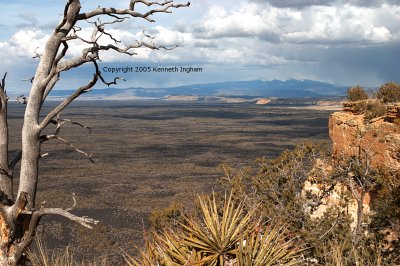 Mount Taylor in the distance.
