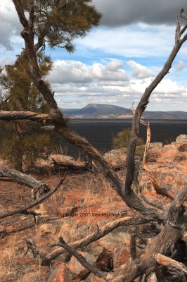 A view across the lava to Gallo Peak in the Zuni mountains.
