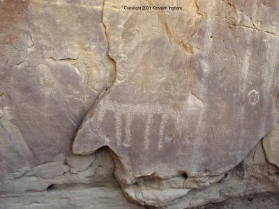 Horse petroglyph
