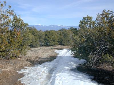 The trail and the Sangre de Cristo Mountains
