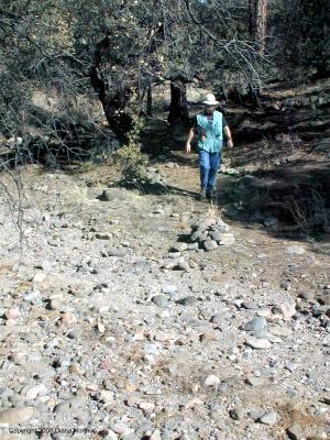 Kenneth on the trail
