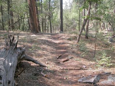 Trail
