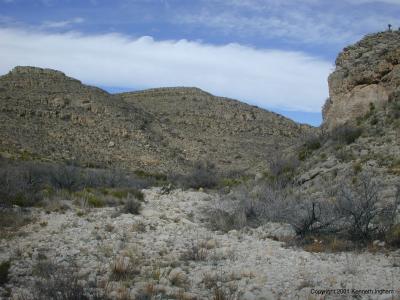 Looking up the canyon
