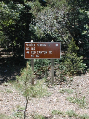 The junction of forest trails 89 and 189
