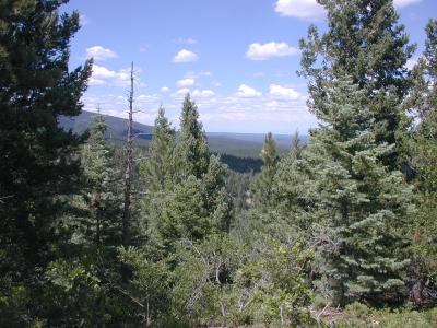 One of the views from the trail
