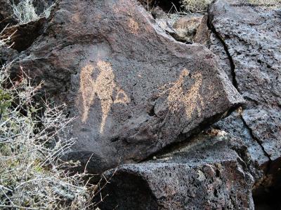 A petroglyph of two doves?
