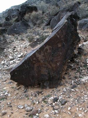 a rock with many petroglyphs
