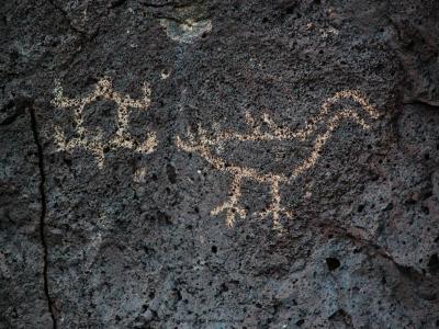 petroglyphs of a turtle and a duck